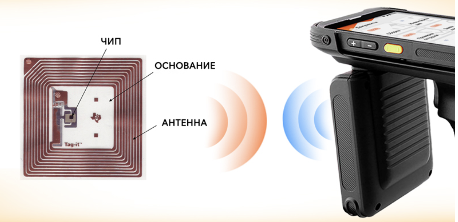 image4.png image4.png