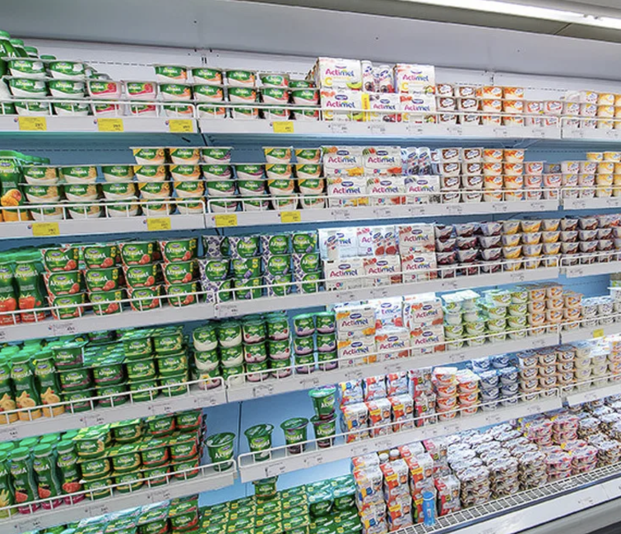 image1.png image1.png