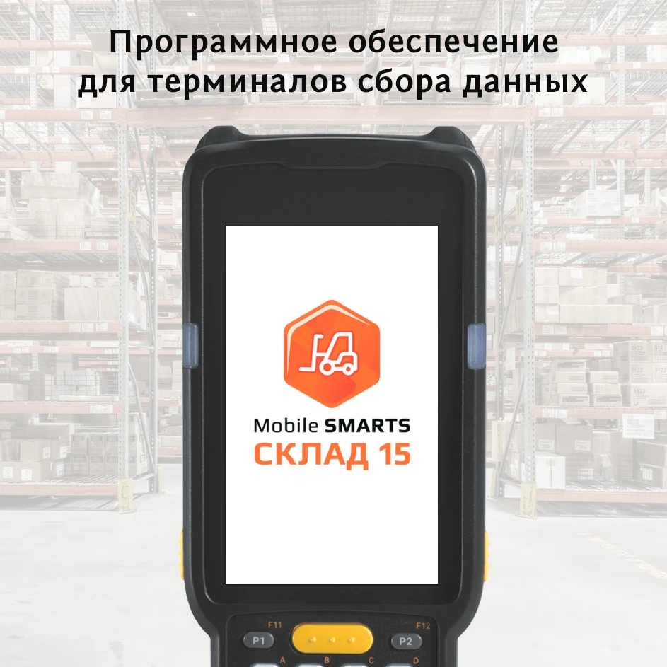 Mobile SMARTS Склад 15 - купить ПО для автоматизации склада в Кирове